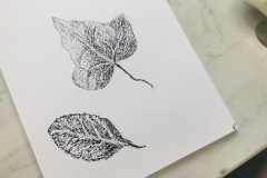 Botanical-12-November