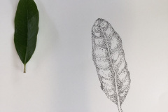 Botanical-14-November