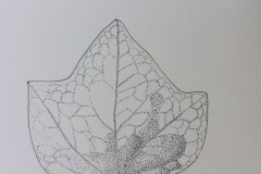 Botanical-16-November