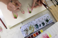 Botanical-27-November