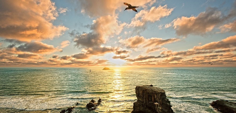 Sunset over Muriwai Beach and Gannet Colony