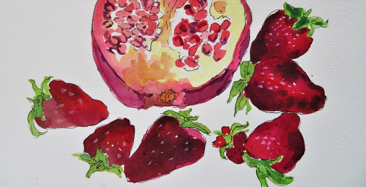 Susannah MacDonald fruit study in watercolour