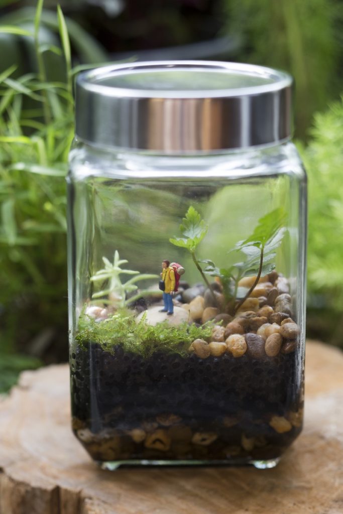 Weekend courses 24 - 25 September 2022 Make Your Own Closed Terrarium Garden